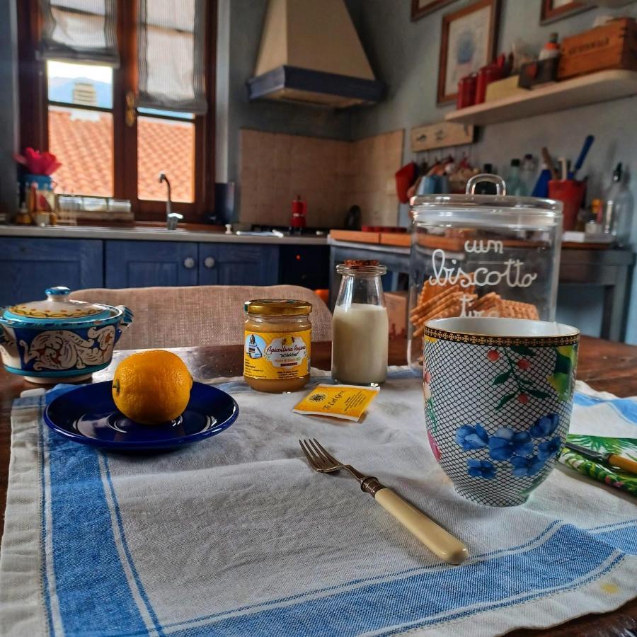La Casa Di Ciaccia Διαμέρισμα Camaiore Εξωτερικό φωτογραφία