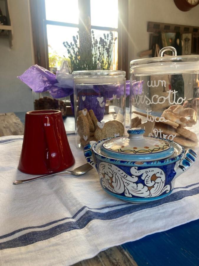La Casa Di Ciaccia Διαμέρισμα Camaiore Εξωτερικό φωτογραφία